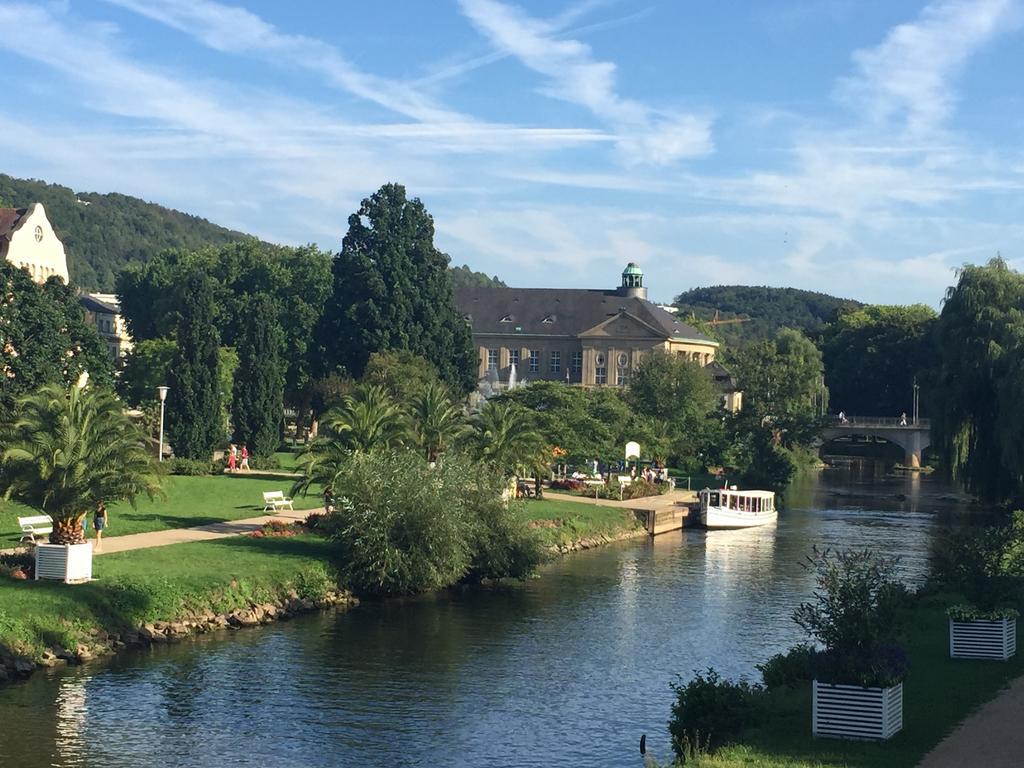 Idyllisches Wohnen Weinberg Lägenhet Bad Kissingen Rum bild