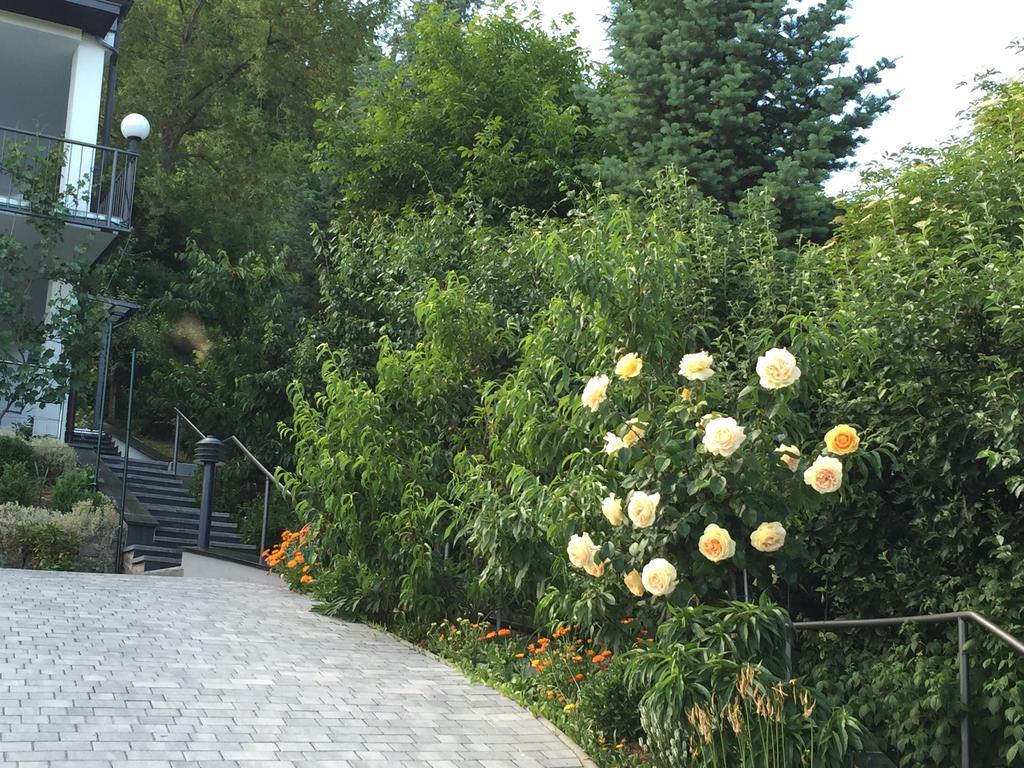 Idyllisches Wohnen Weinberg Lägenhet Bad Kissingen Rum bild